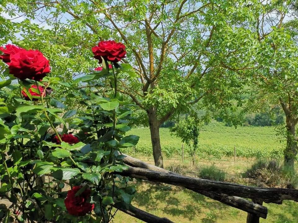 Cascina Valtignosa Camere Con Vigna Cassine Buitenkant foto