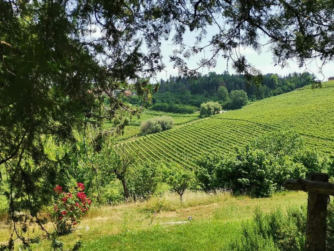 Cascina Valtignosa Camere Con Vigna Cassine Buitenkant foto
