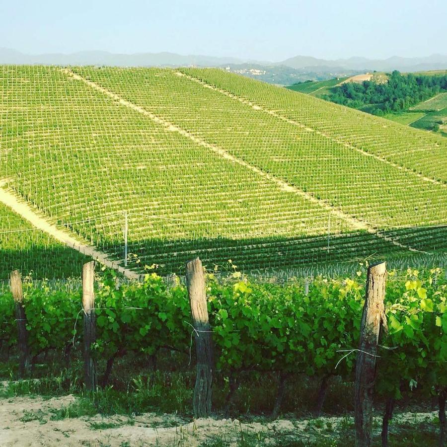 Cascina Valtignosa Camere Con Vigna Cassine Buitenkant foto