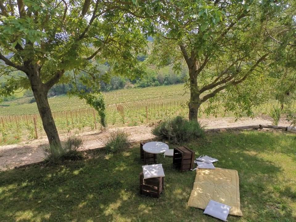 Cascina Valtignosa Camere Con Vigna Cassine Buitenkant foto