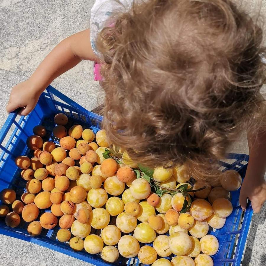 Cascina Valtignosa Camere Con Vigna Cassine Buitenkant foto
