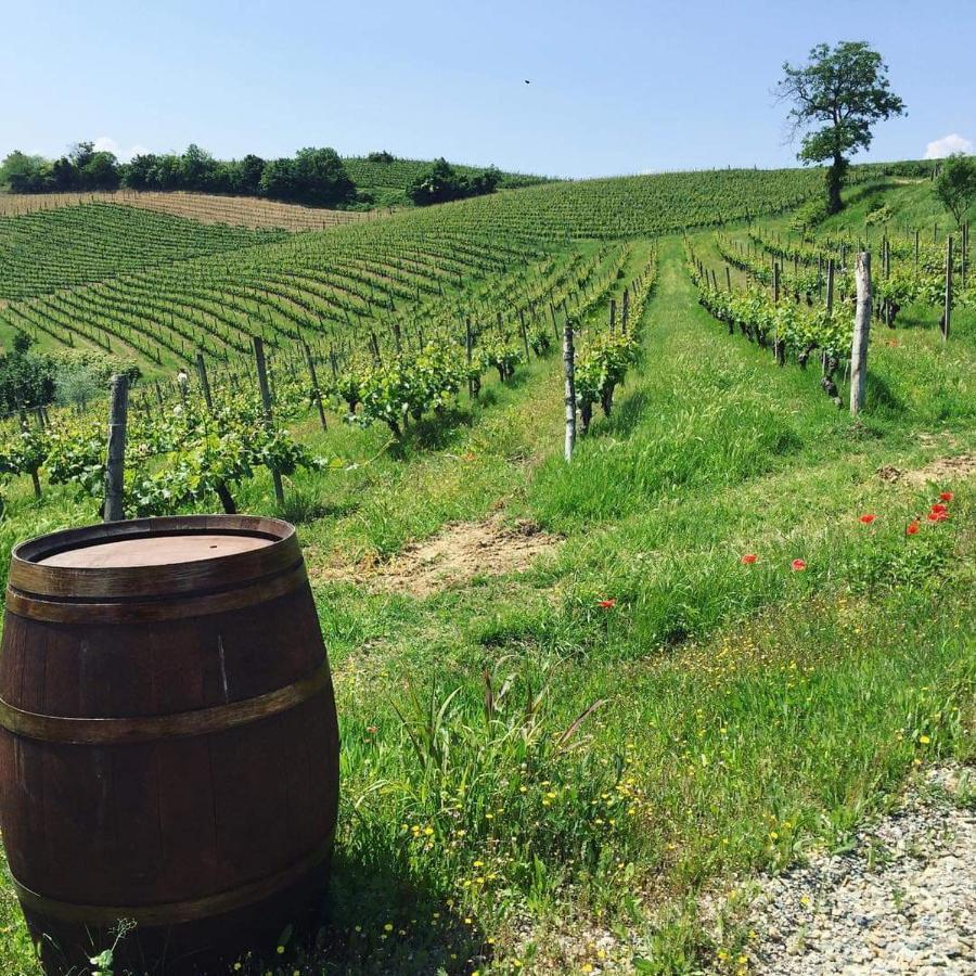 Cascina Valtignosa Camere Con Vigna Cassine Buitenkant foto