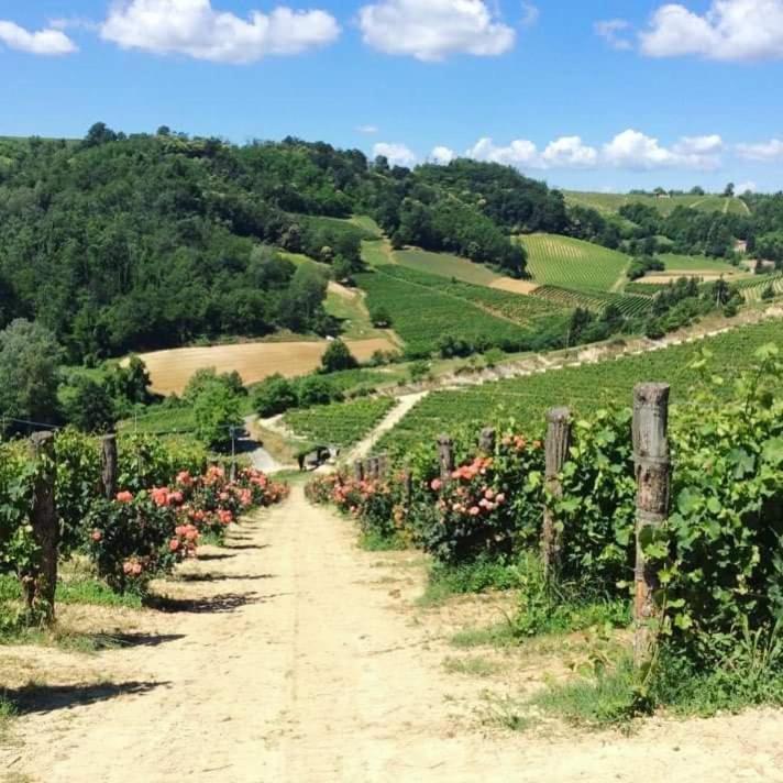 Cascina Valtignosa Camere Con Vigna Cassine Buitenkant foto