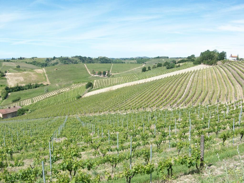 Cascina Valtignosa Camere Con Vigna Cassine Buitenkant foto