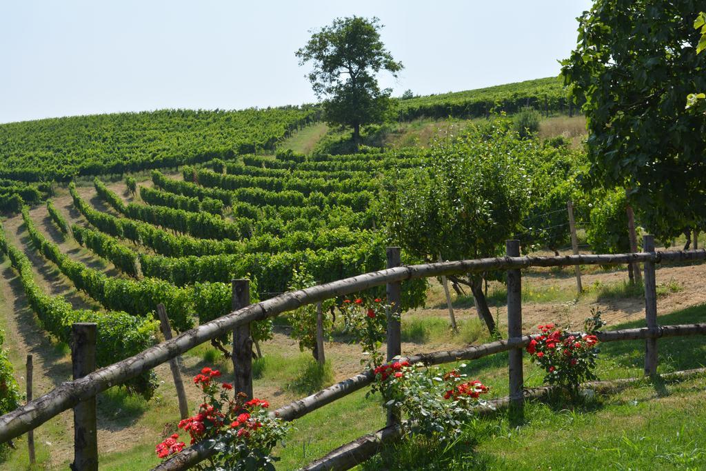 Cascina Valtignosa Camere Con Vigna Cassine Buitenkant foto