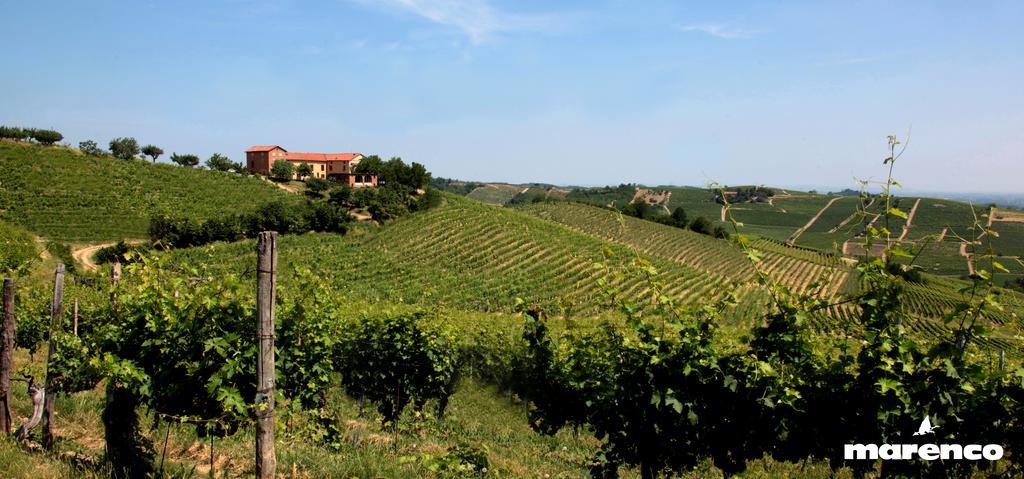 Cascina Valtignosa Camere Con Vigna Cassine Buitenkant foto