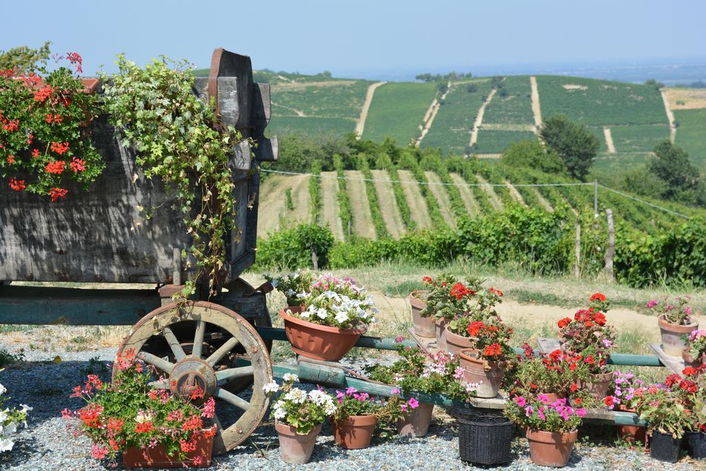 Cascina Valtignosa Camere Con Vigna Cassine Buitenkant foto