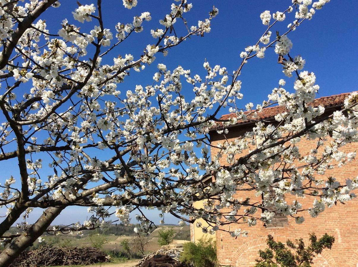 Cascina Valtignosa Camere Con Vigna Cassine Buitenkant foto